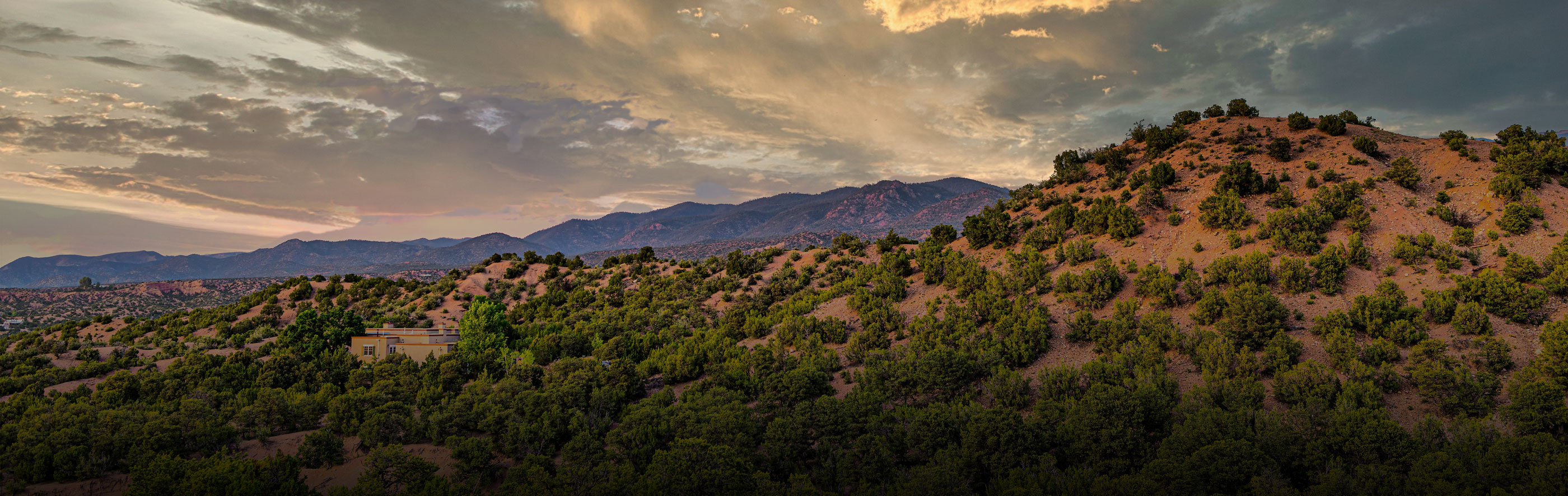 2020 Q1 Market Report