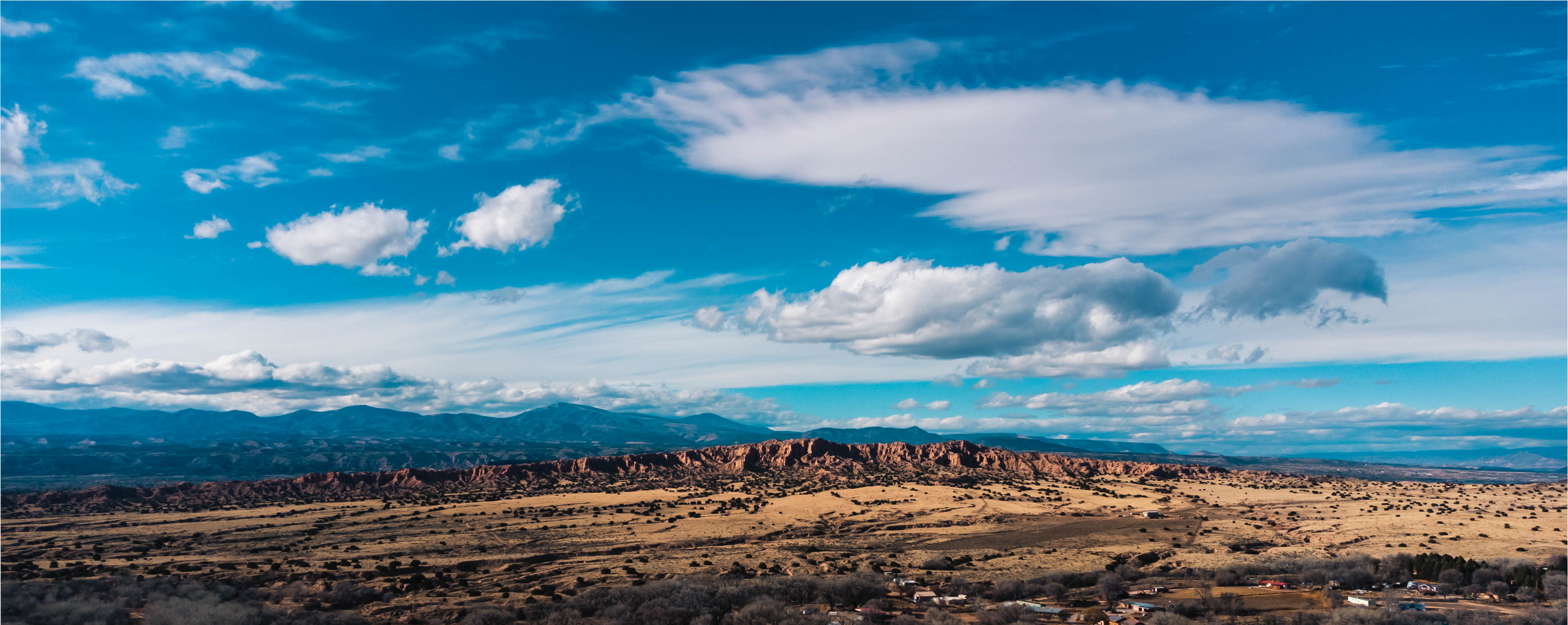 2024 Q4 Market Report