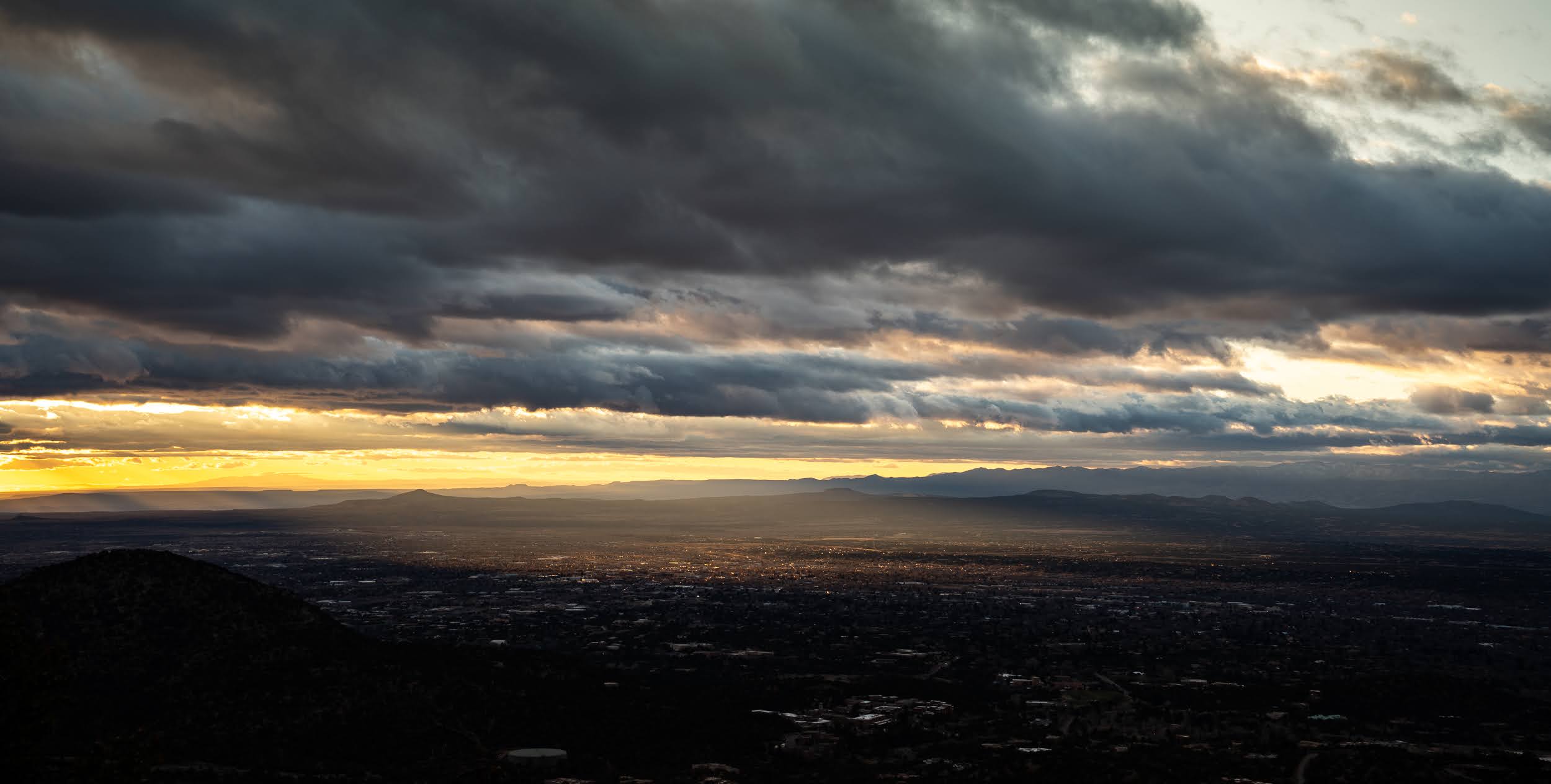 Some of our Favorite Local Plants for your Garden in New Mexico