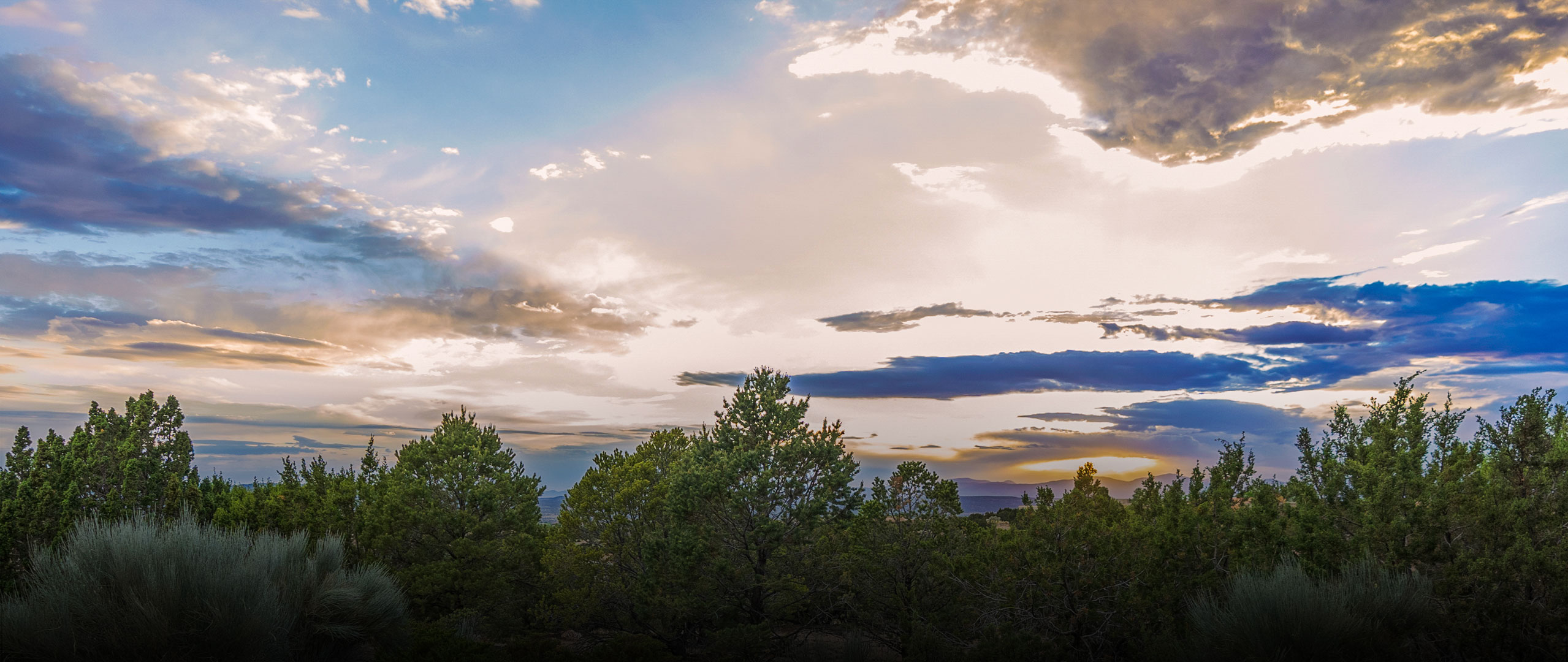 2024 Q3 Market Report